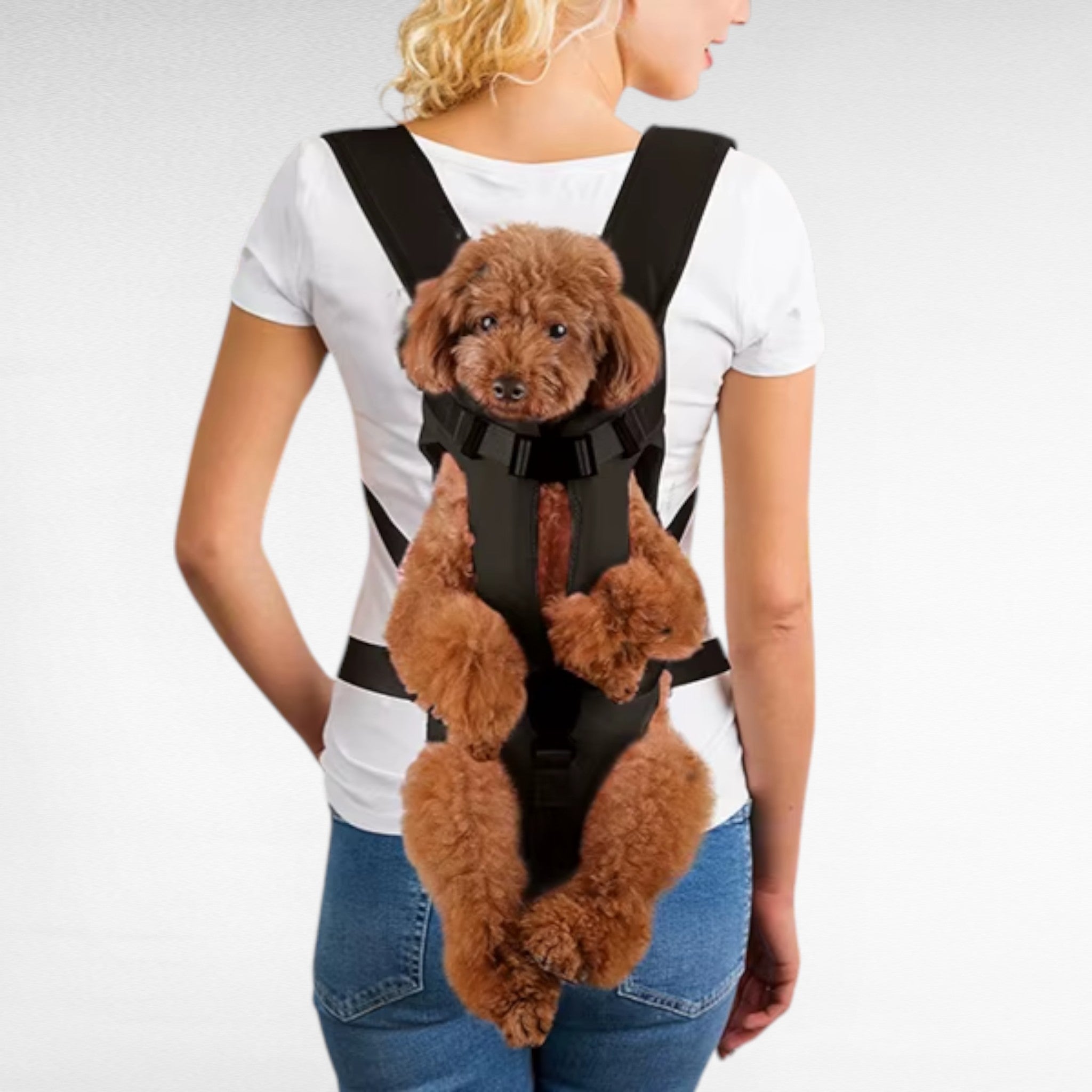 Sac à Dos Transport Chien & Chat – Respirant & Mains Libres - vue 2